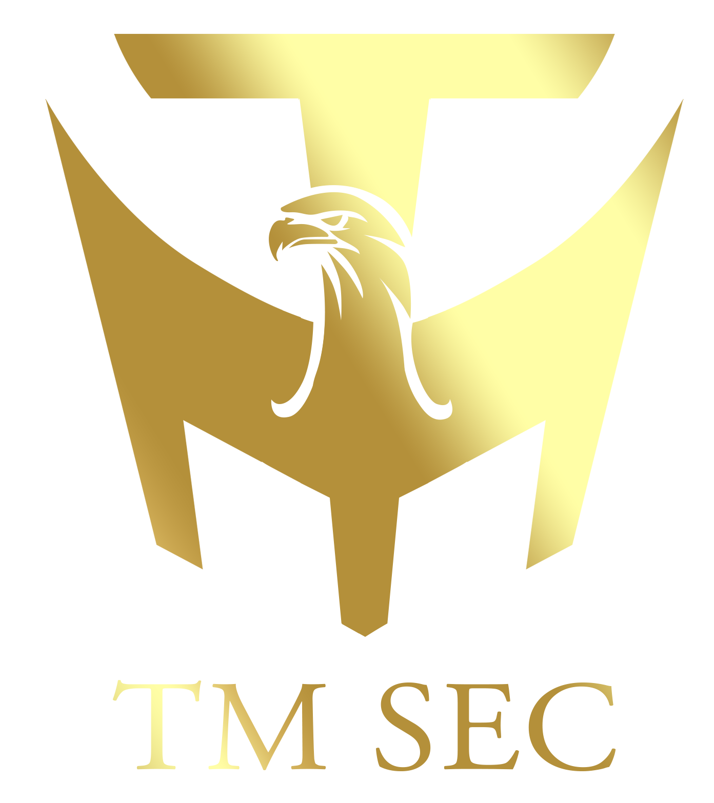 logo tmsec